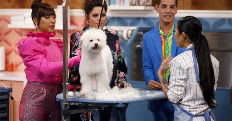 myflixer haute dog|Haute Dog: Season 1, Episode 1 .